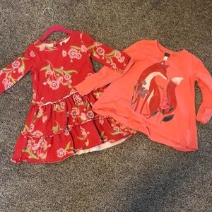 Tea Collection Girls Dress and Shirt